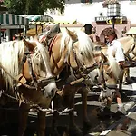 Country House In Seefeld Near Ski Resort